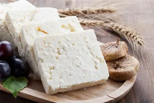 Emzirirken Peynir Yemek Güvenli Mi? Faydaları Nelerdir?