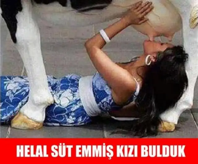 En komik resimler2.webp
