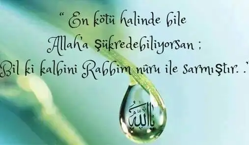 en.webp