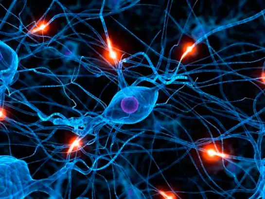 epilepsi-hastaligi.webp