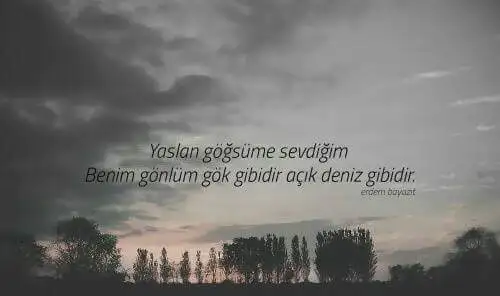 erdem.webp