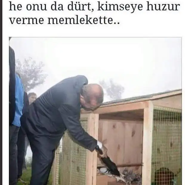 erdoganguvercinn.webp