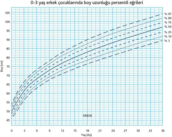 erkek_boy.webp
