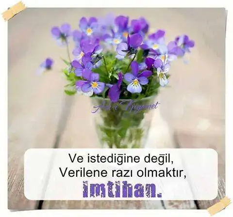 erty.webp
