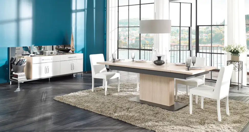 esya- yemek odası.webp