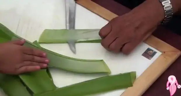 evde_aloevera_nasil_hazirlanir.webp