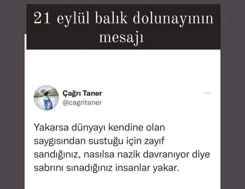 evreninhayali.webp
