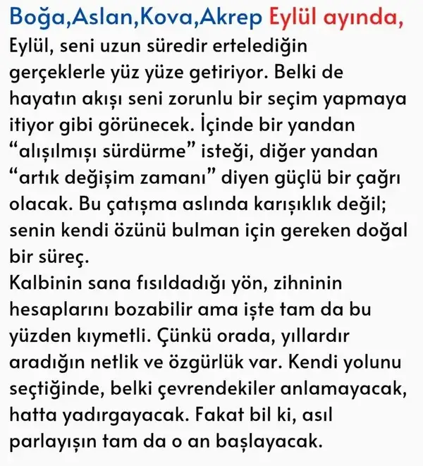 ey1 (2).webp