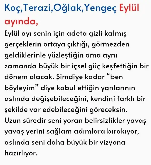 ey1 (3).webp