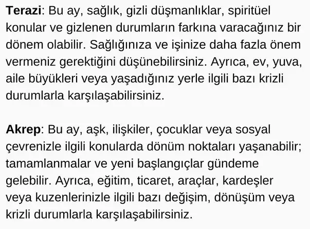 ey1 (4).webp