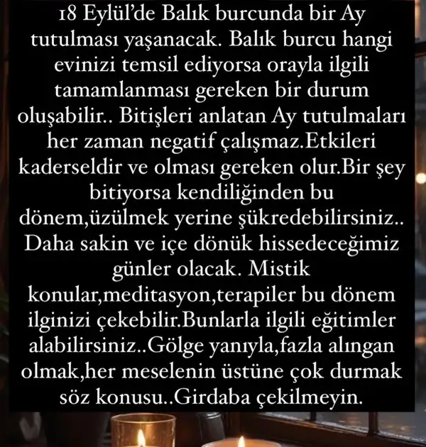 ey14 (4).webp
