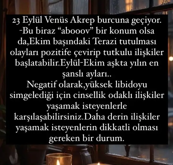 ey14 (5).webp