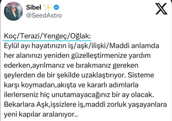ey15 (1).webp
