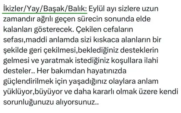 ey15 (2).webp