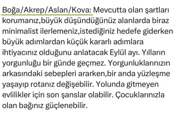 ey15 (3).webp