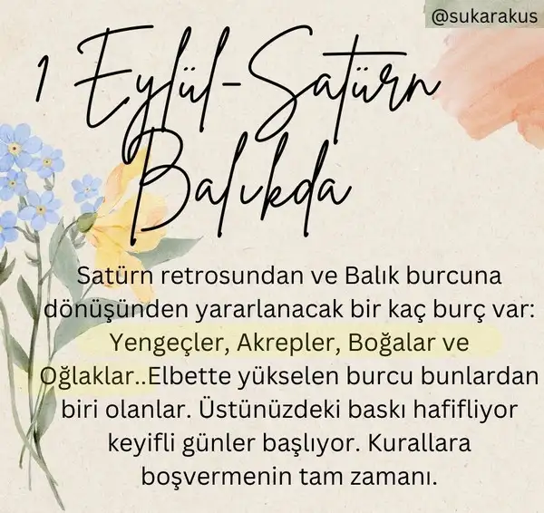 ey2 (2).webp