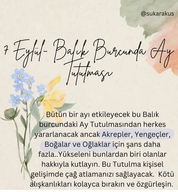 ey2 (4).webp