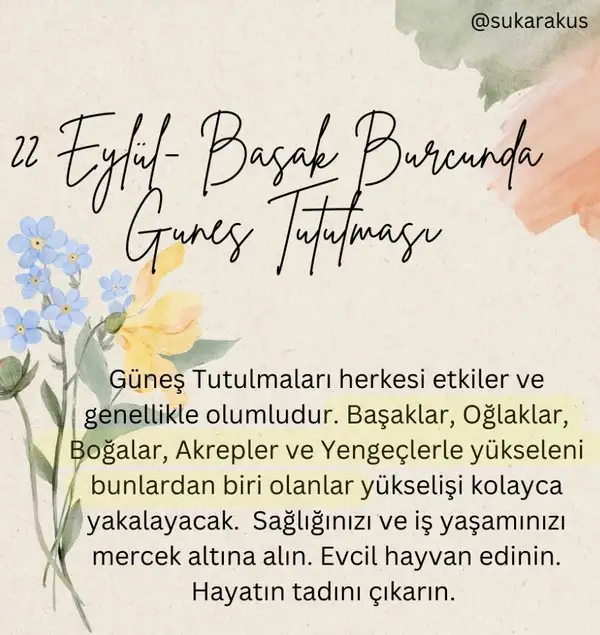 ey2 (5).webp
