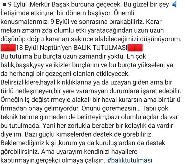 ey3 (3).webp