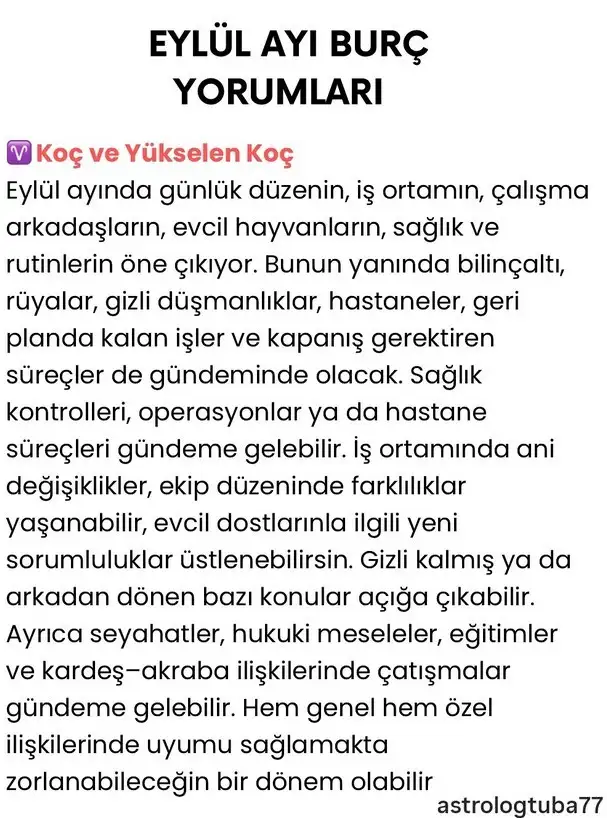 ey4 (1).webp