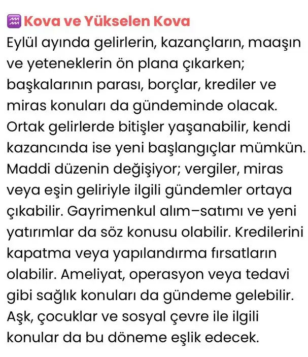 ey4 (11).webp