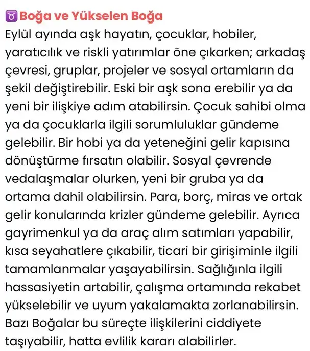 ey4 (2).webp