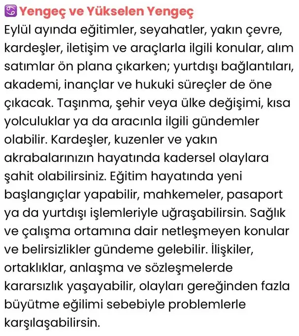 ey4 (4).webp
