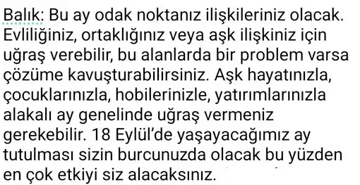 ey6 (6).webp