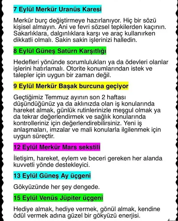 ey8 (4).webp