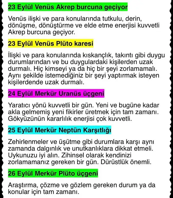 ey8 (6).webp