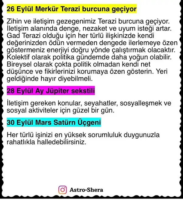 ey8 (7).webp