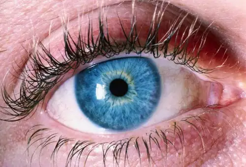 eyes.webp