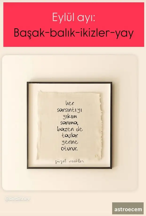 eyl (1).webp