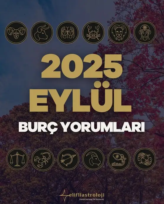 eyl ayl2 (1).webp