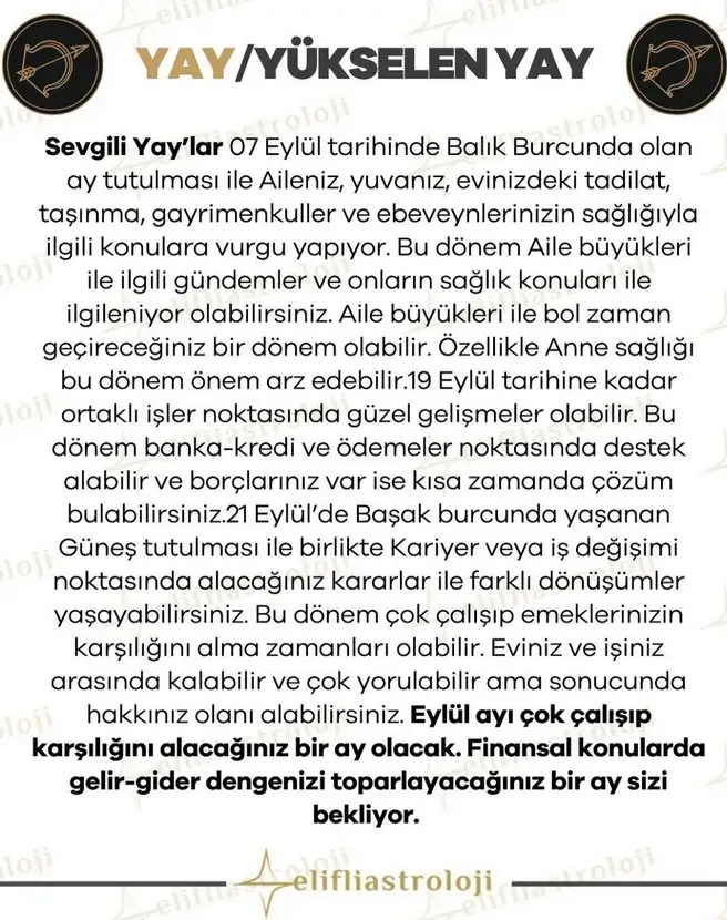 eyl ayl2 (10).webp