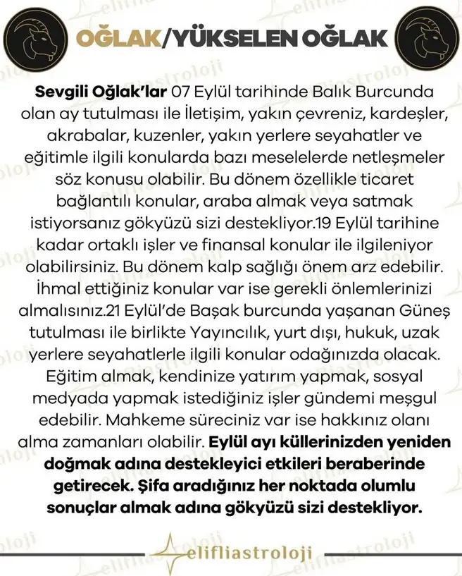 eyl ayl2 (11).webp