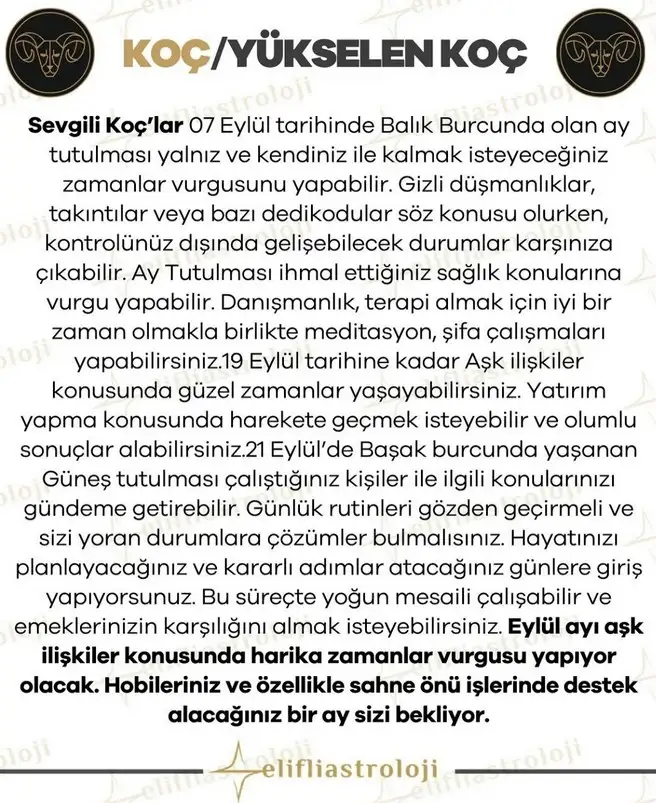 eyl ayl2 (2).webp