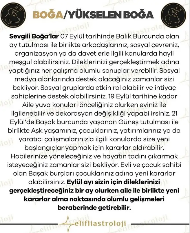 eyl ayl2 (3).webp