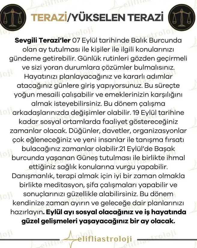 eyl ayl2 (8).webp