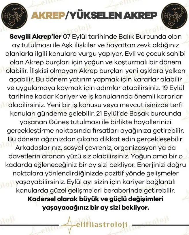 eyl ayl2 (9).webp