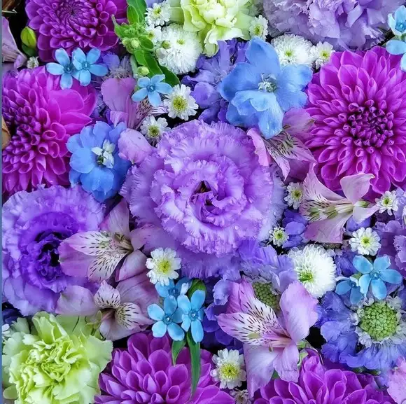 eylül 2s (8).webp