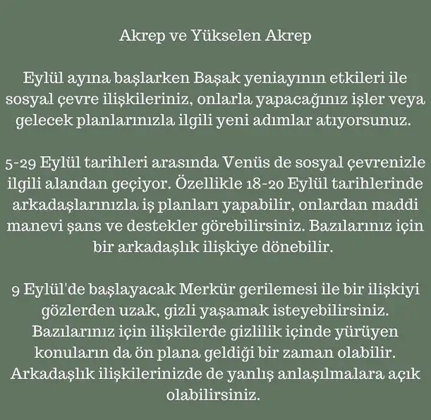 eylül aylık23 (16).webp
