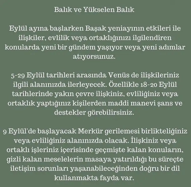 eylül aylık23 (24).webp