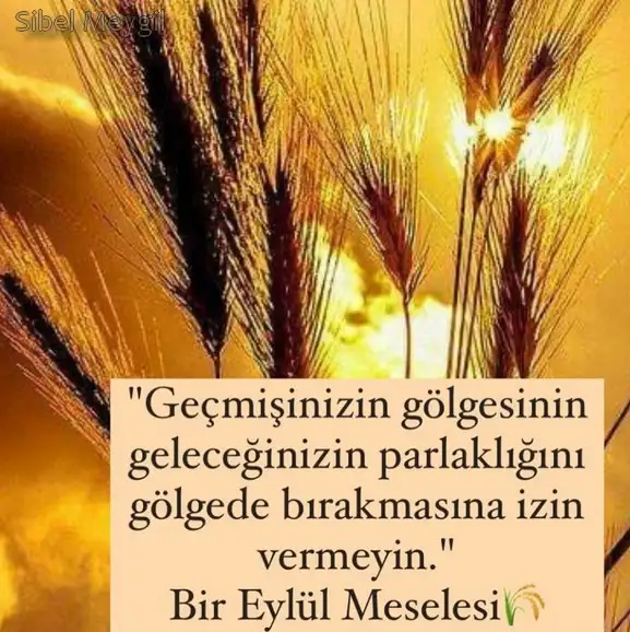 eylül aylık35 (1).webp