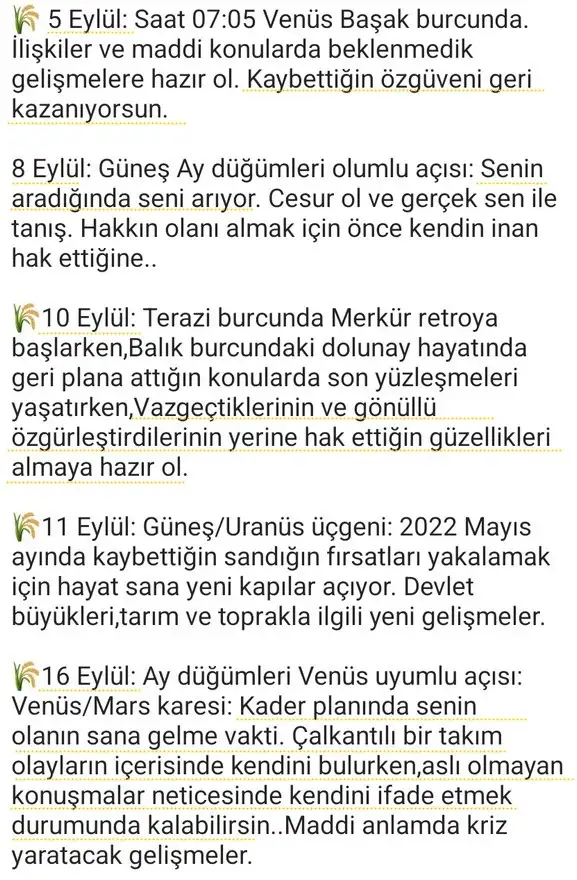 eylül aylık35 (2).webp