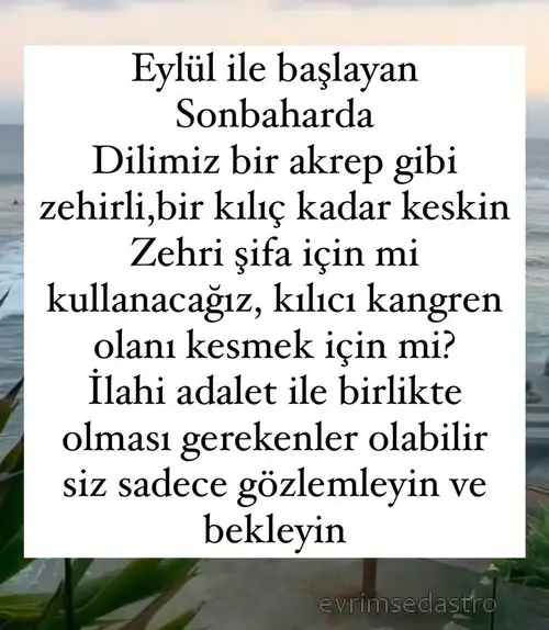 eylül aylık43.webp