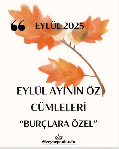 eylul aylk (1).webp