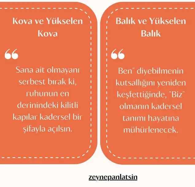 eylul aylk (7).webp