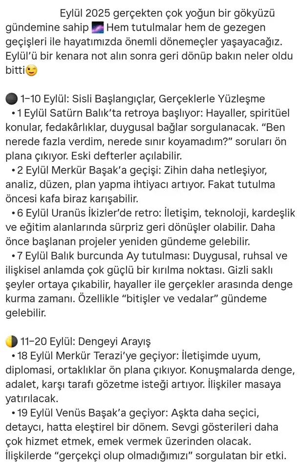 eyy (2).webp