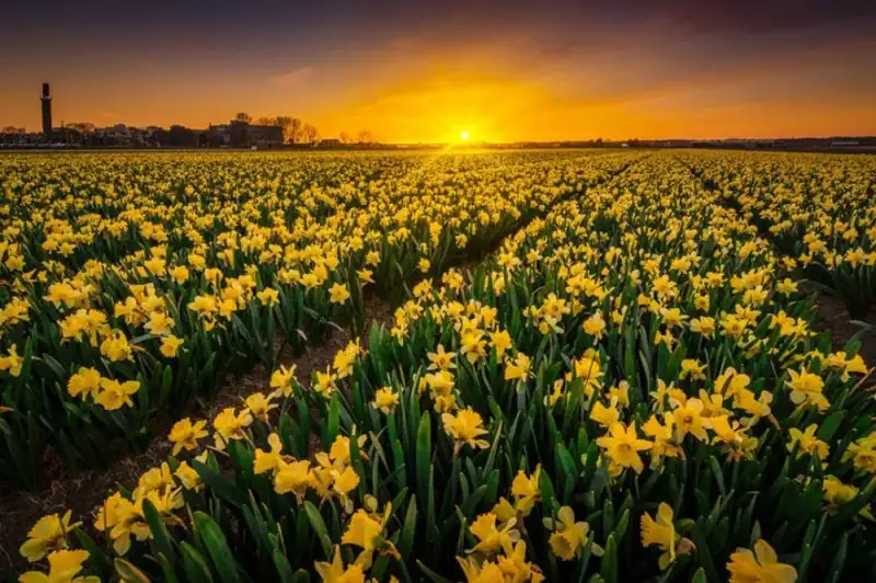 f08bef43b5c14743a19ccecb7559f191.jpg.1000x0_q85_autocrop_crop-smart_upscale.webp
